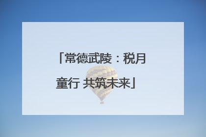 常德武陵：税月童行 共筑未来