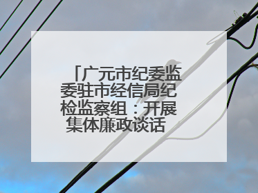广元市纪委监委驻市经信局纪检监察组：开展集体廉政谈话 敲响廉政警钟