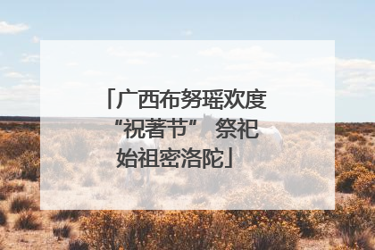 广西布努瑶欢度“祝著节” 祭祀始祖密洛陀