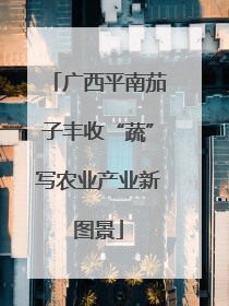 广西平南茄子丰收“蔬”写农业产业新图景