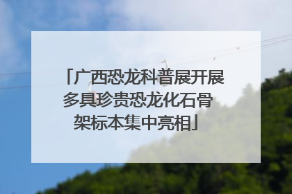 广西恐龙科普展开展 多具珍贵恐龙化石骨架标本集中亮相