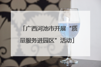 广西河池市开展“质量服务进园区”活动