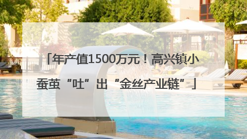 年产值1500万元！高兴镇小蚕茧“吐”出“金丝产业链”