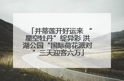 并蒂莲开好运来 “星空牡丹”绽异彩 洪湖公园“国际荷花派对”三天迎客六万