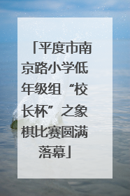 平度市南京路小学低年级组“校长杯”之象棋比赛圆满落幕