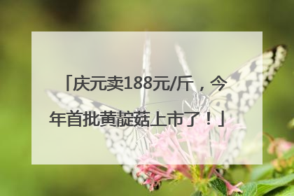 庆元卖188元/斤，今年首批黄靛菇上市了！