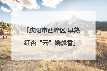 庆阳市西峰区 早熟红杏“云”端飘香