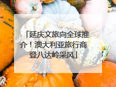 延庆文旅向全球推介！澳大利亚旅行商登八达岭采风