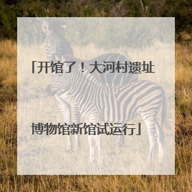 开馆了！大河村遗址博物馆新馆试运行