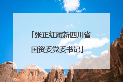 张正红履新四川省国资委党委书记