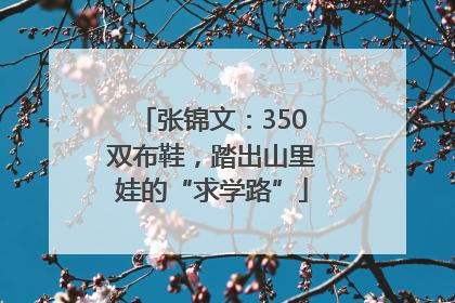 张锦文：350双布鞋，踏出山里娃的“求学路”