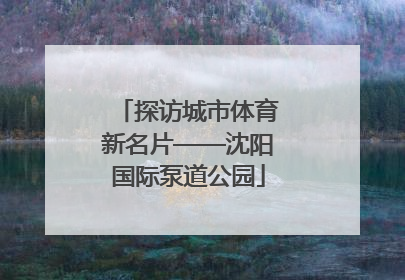 探访城市体育新名片——沈阳国际泵道公园