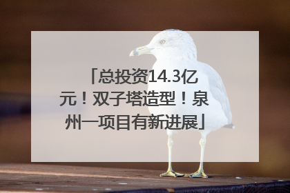 总投资14.3亿元！双子塔造型！泉州一项目有新进展