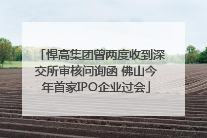 悍高集团曾两度收到深交所审核问询函 佛山今年首家IPO企业过会