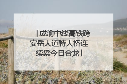 成渝中线高铁跨安岳大道特大桥连续梁今日合龙