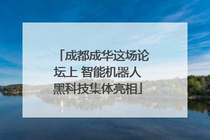 成都成华这场论坛上 智能机器人黑科技集体亮相