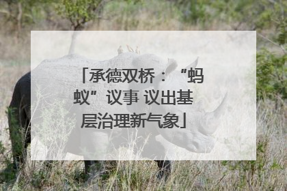 承德双桥：“蚂蚁”议事 议出基层治理新气象