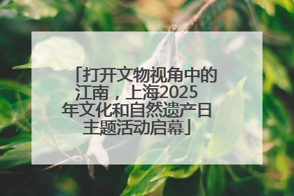 打开文物视角中的江南，上海2025年文化和自然遗产日主题活动启幕