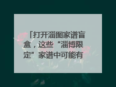 打开淄图家谱盲盒，这些“淄博限定”家谱中可能有你的隐藏身份
