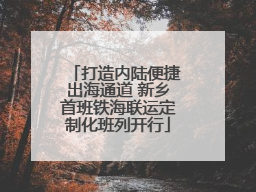 打造内陆便捷出海通道 新乡首班铁海联运定制化班列开行