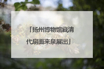 扬州博物馆藏清代扇面来泉展出