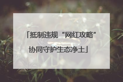 抵制违规“网红攻略” 协同守护生态净土