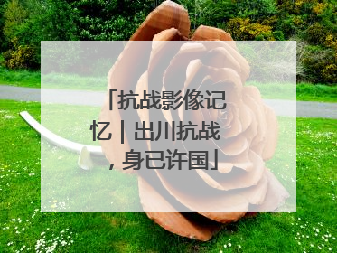 抗战影像记忆｜出川抗战，身已许国