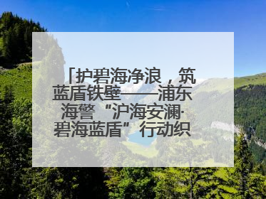 护碧海净浪，筑蓝盾铁壁——浦东海警“沪海安澜·碧海蓝盾”行动织密立体防控网