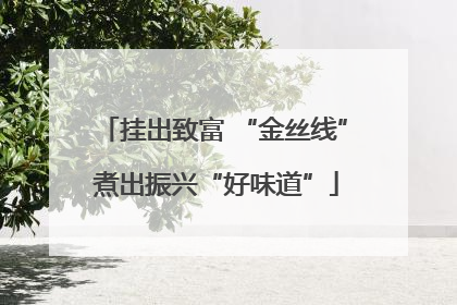 挂出致富 “金丝线” 煮出振兴“好味道”