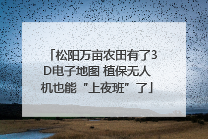 松阳万亩农田有了3D电子地图 植保无人机也能“上夜班”了