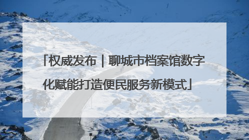 权威发布｜聊城市档案馆数字化赋能打造便民服务新模式