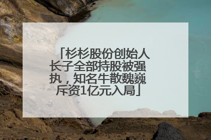 杉杉股份创始人长子全部持股被强执，知名牛散魏巍斥资1亿元入局