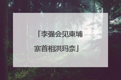 李强会见柬埔寨首相洪玛奈