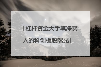 杠杆资金大手笔净买入的科创板股曝光