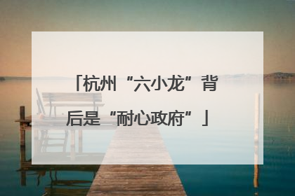 杭州“六小龙”背后是“耐心政府”