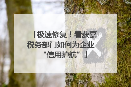 极速修复！看获嘉税务部门如何为企业“信用护航”