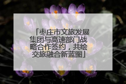 枣庄市文旅发展集团与高速部门战略合作签约，共绘交旅融合新蓝图