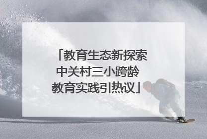 教育生态新探索 中关村三小跨龄教育实践引热议