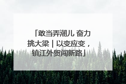 敢当弄潮儿 奋力挑大梁｜以变应变，镇江外贸闯新路