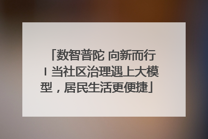 数智普陀 向新而行〡当社区治理遇上大模型，居民生活更便捷