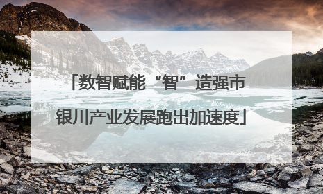 数智赋能“智”造强市 银川产业发展跑出加速度