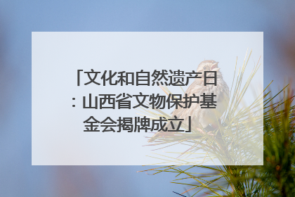 文化和自然遗产日：山西省文物保护基金会揭牌成立