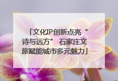 文化IP创新点亮“诗与远方” 石家庄文旅赋能城市多元魅力
