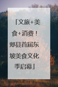 文旅+美食+消费！郏县首届东坡美食文化季启幕