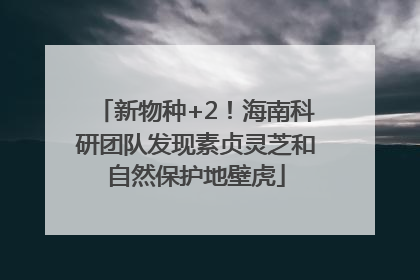 新物种+2！海南科研团队发现素贞灵芝和自然保护地壁虎