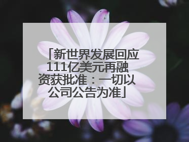 新世界发展回应111亿美元再融资获批准：一切以公司公告为准