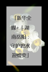 新华全媒+｜湖南岳阳：守护碧水迎蝶变