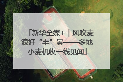 新华全媒+｜风吹麦浪好“丰”景——多地小麦机收一线见闻