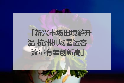 新兴市场出境游升温 杭州机场暑运客流量有望创新高