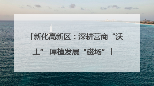 新化高新区：深耕营商“沃土” 厚植发展“磁场”